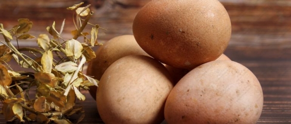 Яйца цесарки: в чем польза и вред, как правильно выбрать и приготовить, когда и как употреблять