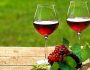 Вкусное вино из калины — 9 простых и надежных рецептов напитка в домашних условиях