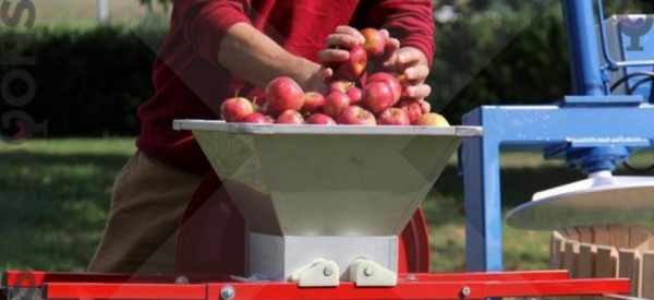 Кальвадос из яблок – классический и простой рецепт домашнего бренди